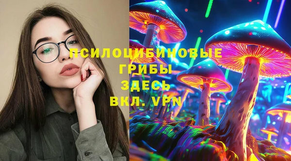 дурь Алексеевка