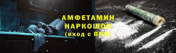 гашик Алексин