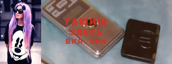 гашик Алексин