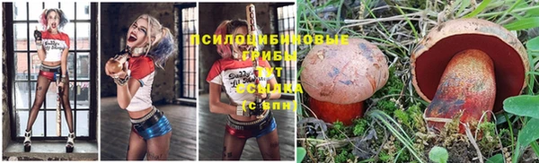 мет Алзамай