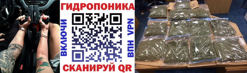 Шишки марихуана тримм  MEGA ССЫЛКА  Западная Двина 